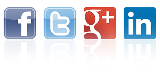 Ostrich Media Management Social Media Icons